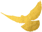 微信图片_2025-09-24_114156_478.png 微信图片_2025-09-24_114156_478.png